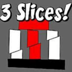 3 Slices 1 3 Slices